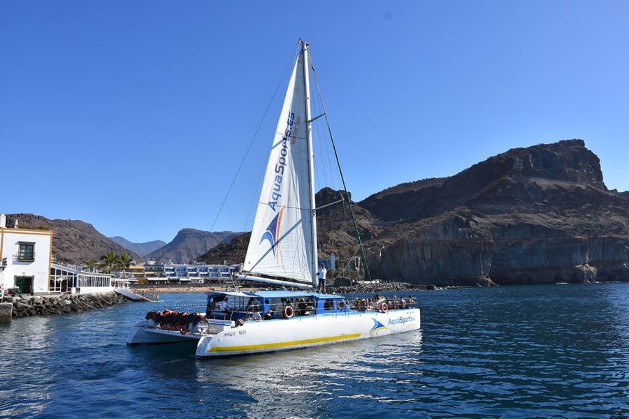 Puerto Rico: 4-Hour Catamaran Excursion in the South - Mobility and Boarding Considerations