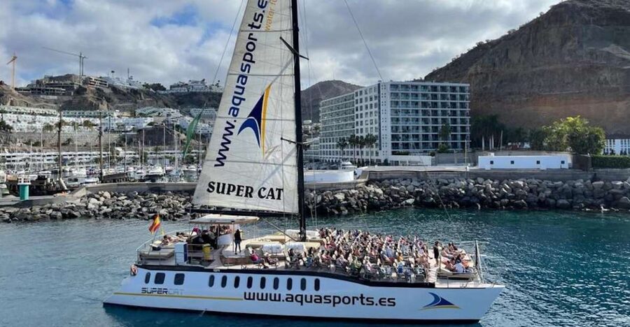 Puerto Rico de Gran Canaria: Premium Dolphin Catamaran Tour - Coastal views from Puerto Rico to the southern coves