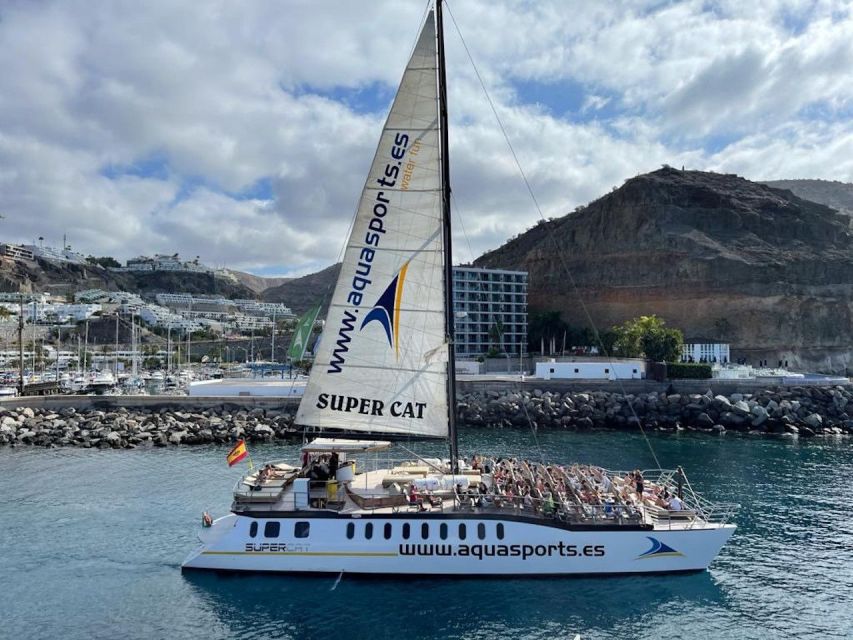 Puerto Rico de Gran Canaria: Premium Dolphin Catamaran Tour - The swim stop, snorkeling, and banana boat ride