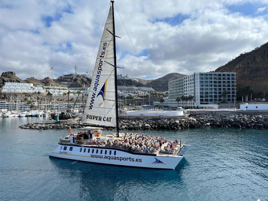 Puerto Rico de Gran Canaria: Premium Dolphin Catamaran Tour - Who will enjoy this catamaran trip most