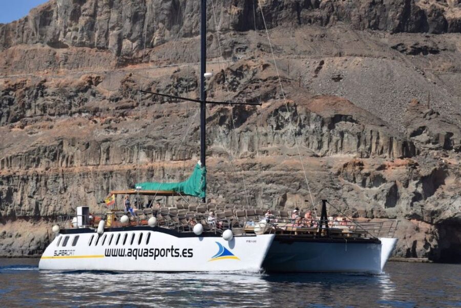 Puerto Rico de Gran Canaria: Premium Dolphin Catamaran Tour - How to get the best value from the day