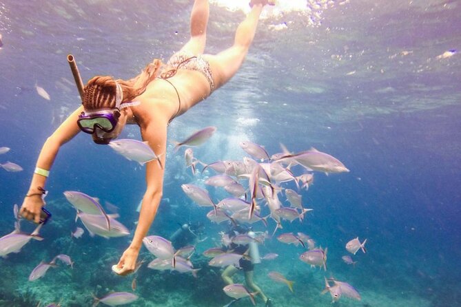 Punta Cana Catalina Island Catamaran Tour Package Deal - Boarding the catamaran in La Romana