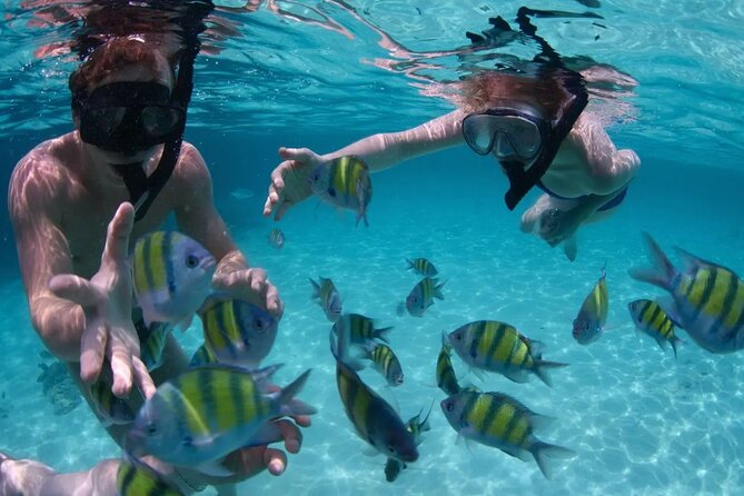 Punta Cana Catalina Island Catamaran Tour Package Deal - Catalina Beach, lunch, and a slower afternoon