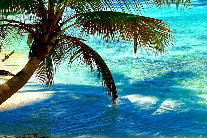 Punta Cana Catalina Island Catamaran Tour Package Deal - Who will enjoy this day most