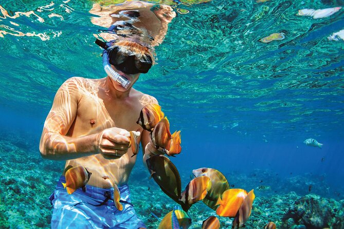 Punta Cana Catalina Island Catamaran Tour Package Deal - Leaving Punta Cana around 7:00 am