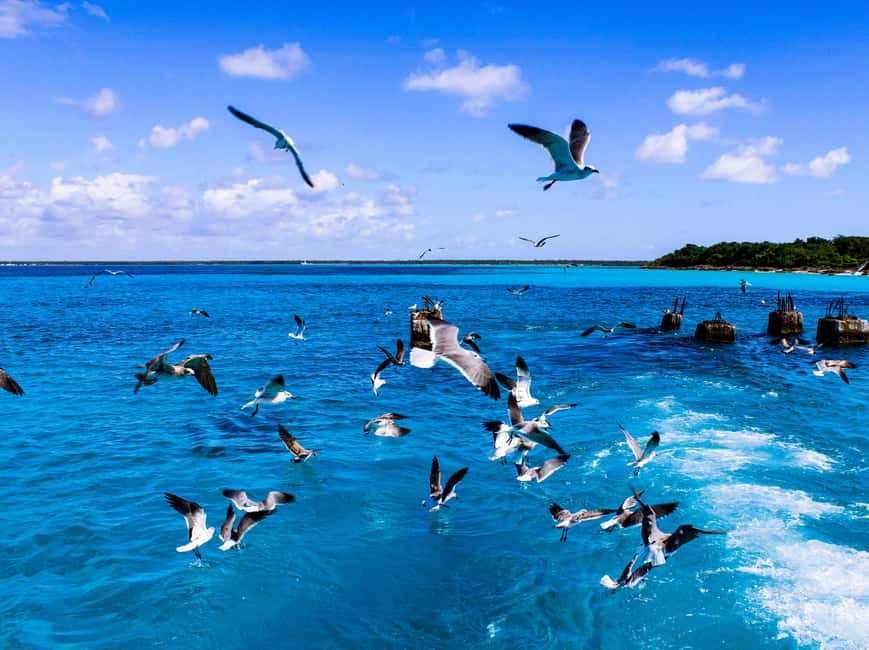 Punta Cana: Catamaran Boat to Saona Island with Buffet Lunch - Is $82 a fair price?