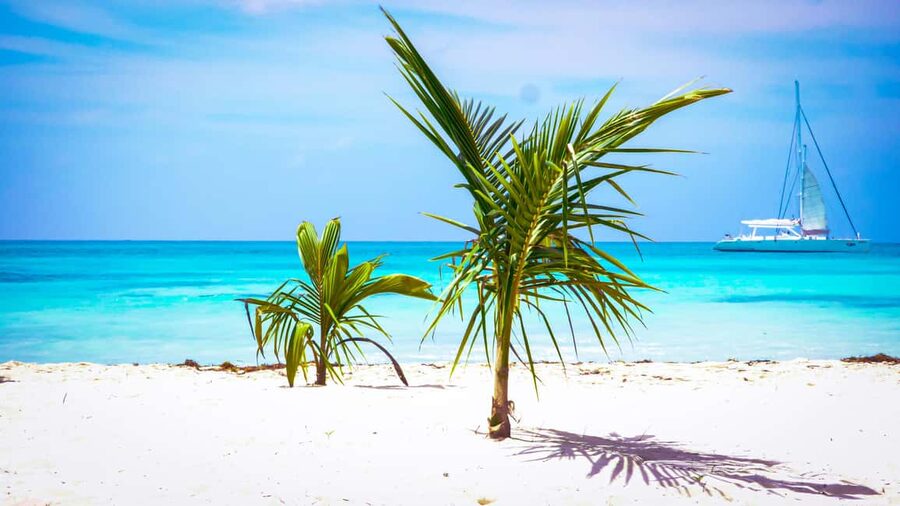 Punta Cana: Catamaran Boat to Saona Island with Buffet Lunch - Booking and packing advice