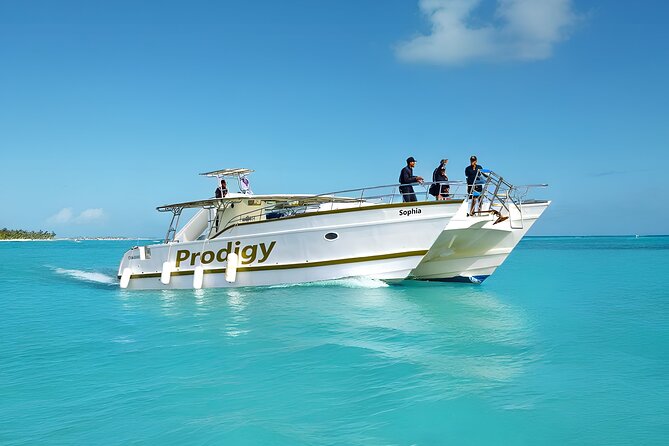Punta Cana Catamaran Private Tour with BBQ and Natural Pool - Key points at a glance