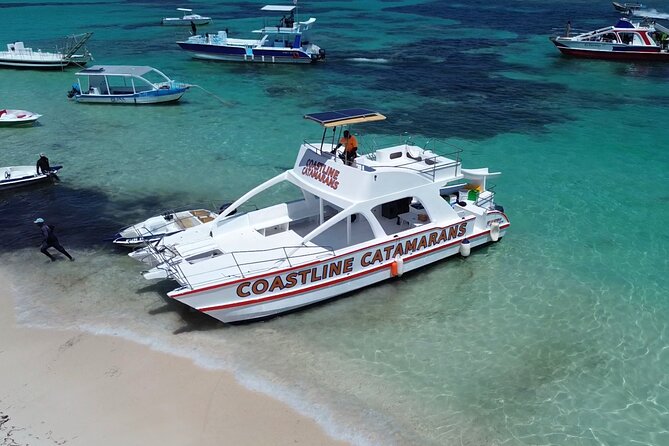 Punta Cana: Catamaran Tour, Reef Snorkeling and Unlimited Drinks! - The private beach and shallow water stop