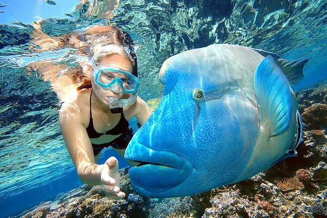 Punta Cana Combo Tour: Snorkeling, Catamaran Cruise & Parasailing - Key points to know before you book
