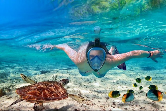 Punta Cana Combo Tour: Snorkeling, Catamaran Cruise & Parasailing - Parasailing above the Cortesito coast