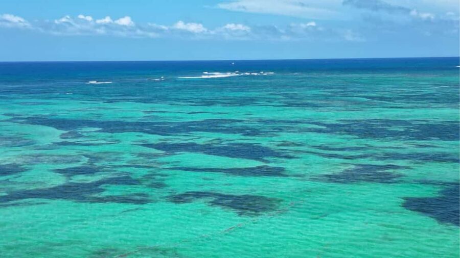 Punta Cana: Exclusive Private Catamaran Tour to Saona Island – VIP Service - Should you book this private catamaran to Saona?