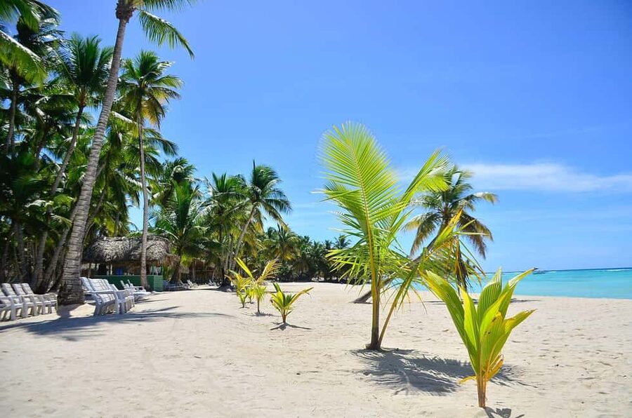 Punta cana: Island Escape to Saona • catamaran & Beach lunch - Saona Island delivers the postcard setting