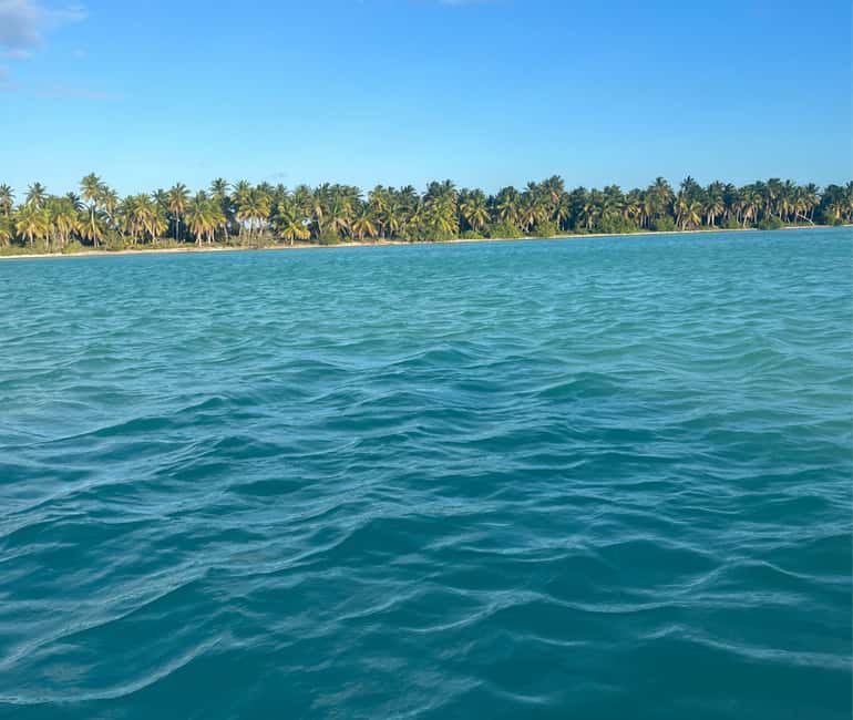 Punta cana: Island Escape to Saona • catamaran & Beach lunch - The buffet lunch is convenient, with one timing concern