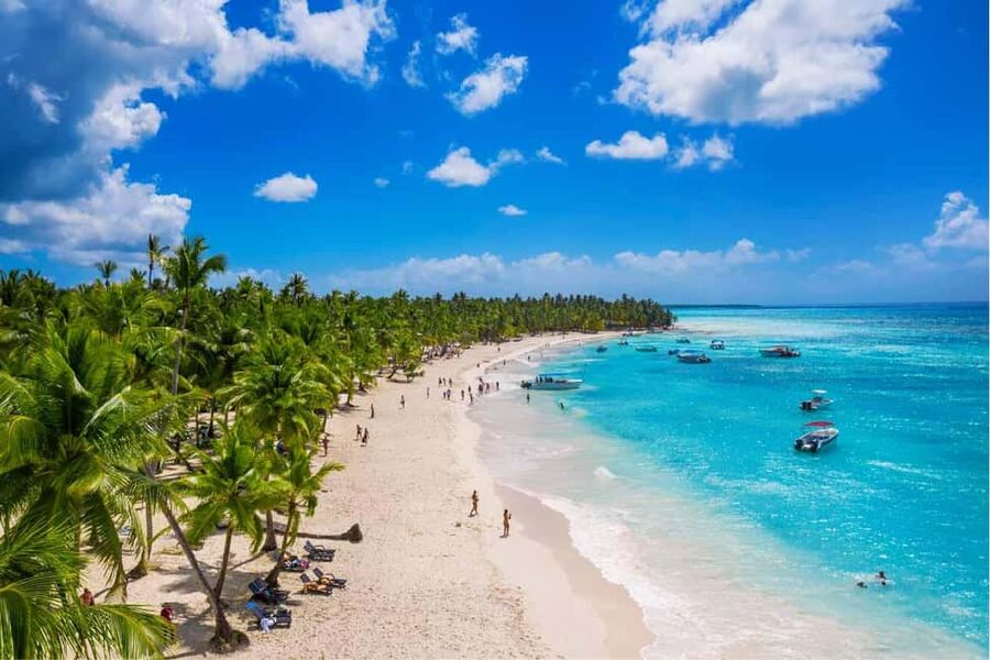 Punta Cana - Santo Domingo: Saona Island VIP Catamaran Tour - The natural pool and its starfish sanctuary