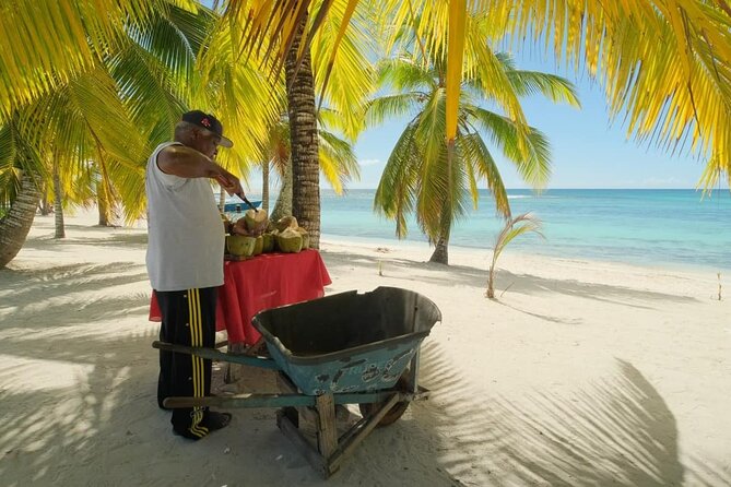 Punta Cana: Saona Island Catamaran Open Bar / Food Hotel Pickup - Saona Island beach time from 10:30 a.m.