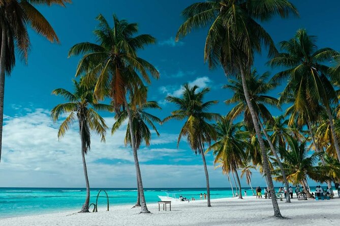 Punta Cana: Saona Island Catamaran Open Bar / Food Hotel Pickup - What the $65 price really buys you