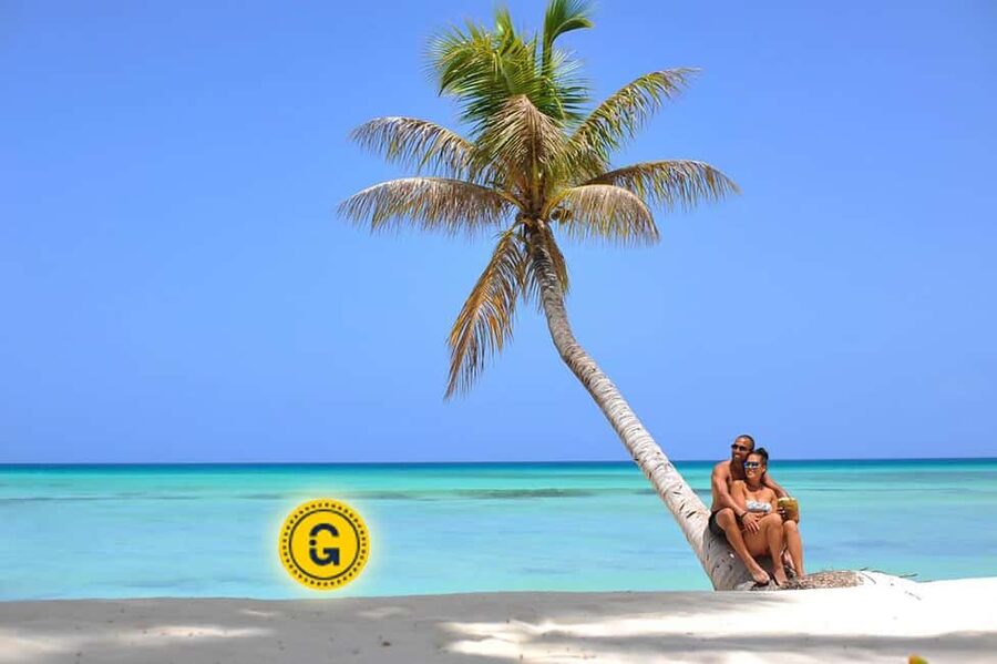 Punta Cana: Saona Island Day Tour and Catamaran Party - The Natural Pool Stop Before Saona Island