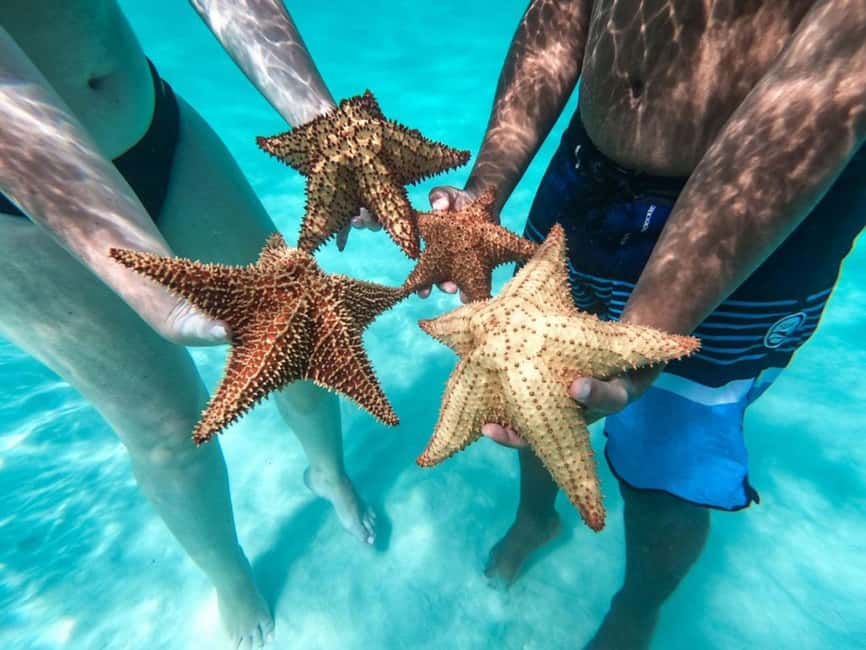 Punta Cana: Saona Island Day Tour and Catamaran Party - What the Price of $67 Really Covers