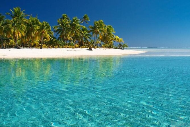 Punta Cana: Saona Island Food And Drink Catamaran Hotel Pickup - Who will enjoy this Saona Island day?
