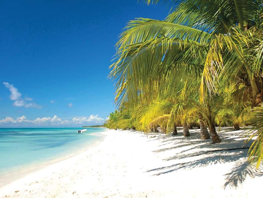 Punta Cana: Saona Island Speedboat and Catamaran Tour - Saona Island beach time and the lunch schedule