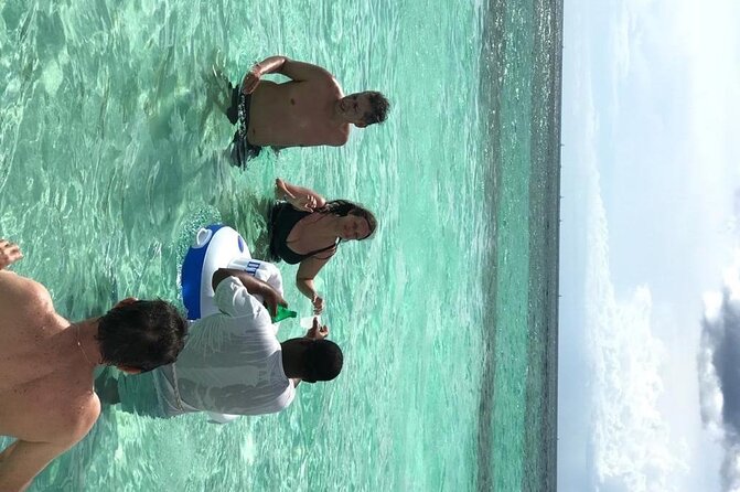 Punta Cana: Saône Island in Catamaran, Small Groups, With Food - Who will enjoy this outing most