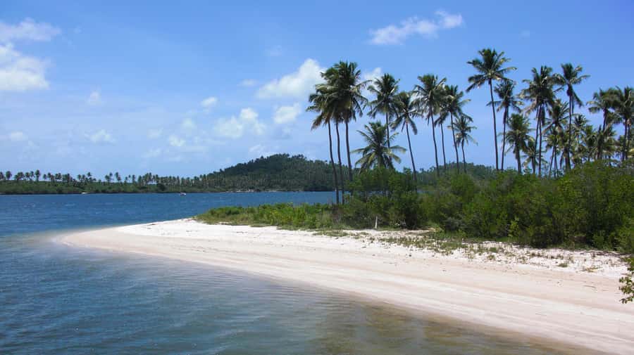 Recife: Tour to Carneiros with Catamaran Ride - Key points to know before you book