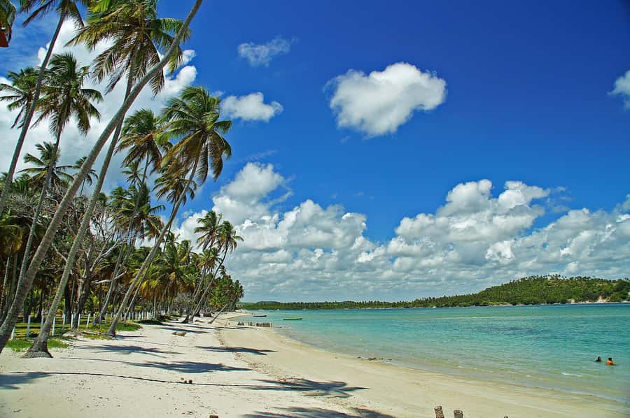 Recife: Tour to Carneiros with Catamaran Ride - First look at Carneiros Beach