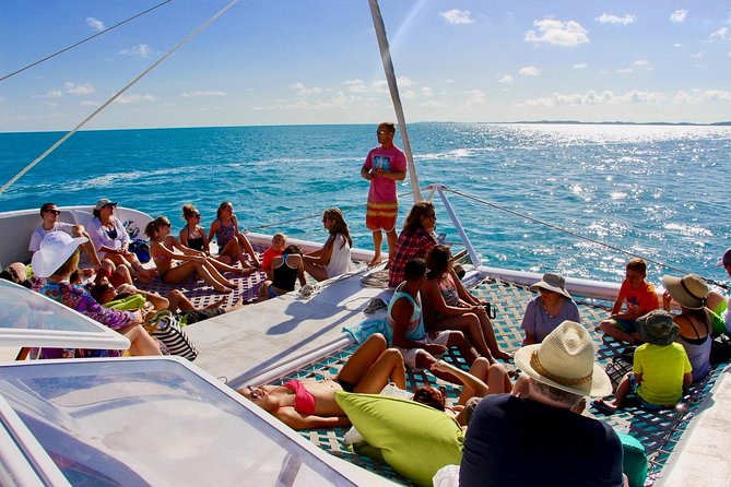 Restless Native Catamaran Sail and Snorkel Tour - Timing, transport, and the America’s Cup warning
