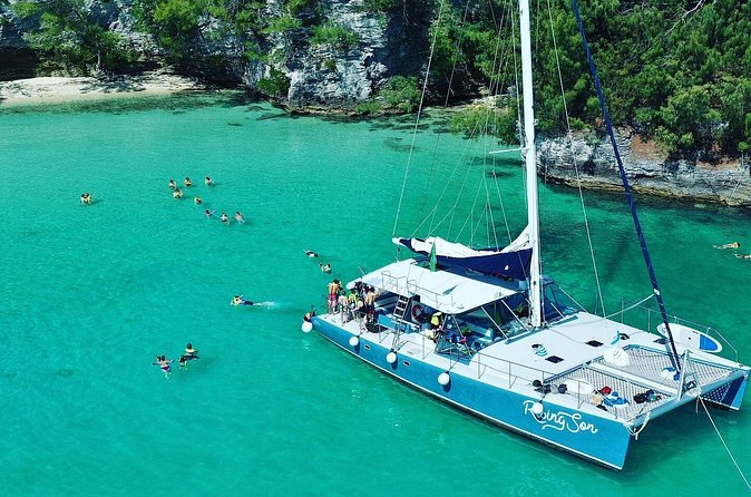 Rising Son Catamaran Adventure in Bermuda - Snorkeling above coral and tropical fish