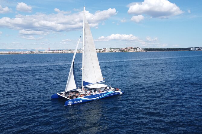 Sailing catamaran at Sunset of 2 hours Duration - Sunset Drinks With the Open Bar