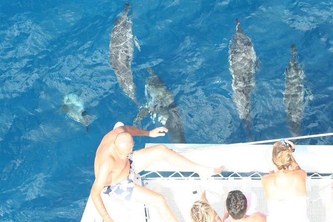 Sailing Catamaran Cruises - Sailing from Black River Bay at 9 a.m.