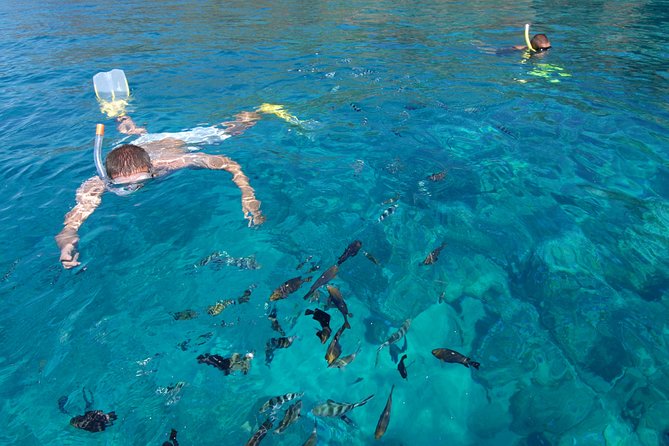 Sailing Catamaran Cruises - A barbecue lunch with dorade, scampi, and wine
