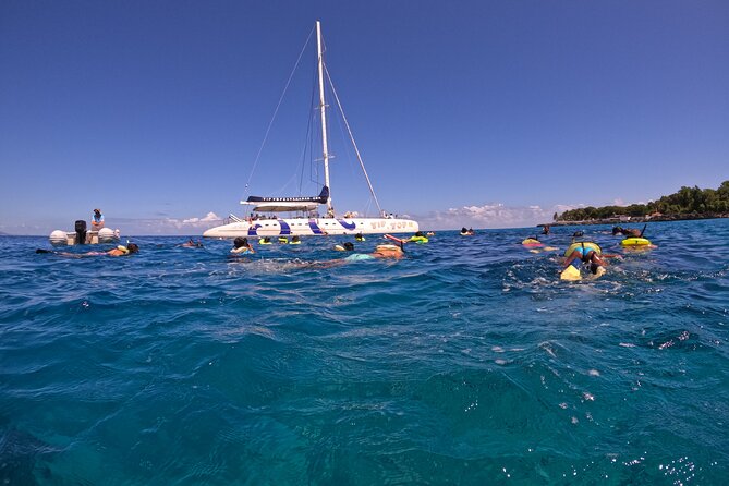 Sailing Catamaran Excursion - Key points to know before you book