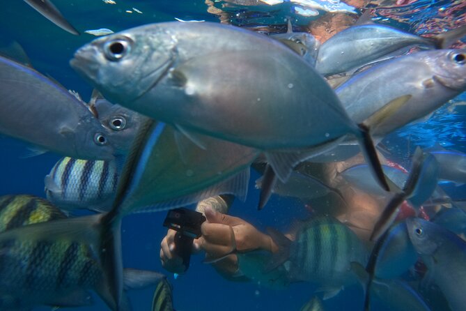 Sailing Catamaran Excursion - Lunch, snacks, and drinks on the catamaran