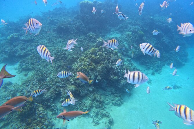 Sailing Catamaran Excursion - The return to Cabarete by bus