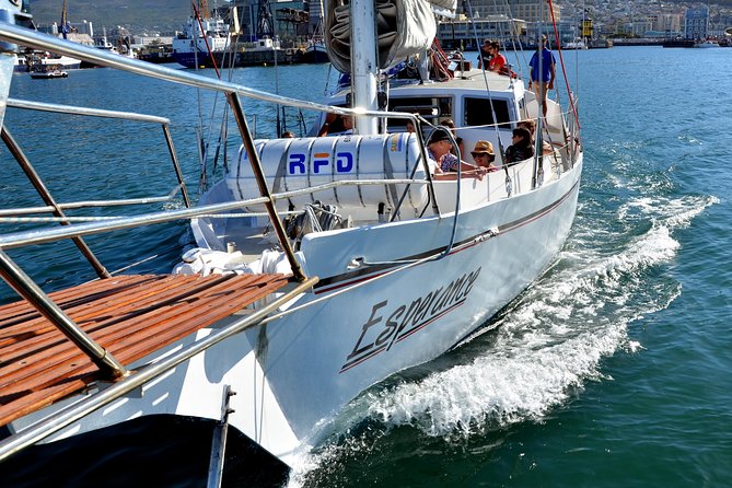 Sailing in The Bay by Catamaran (One Hour) - The views that make the trip worthwhile