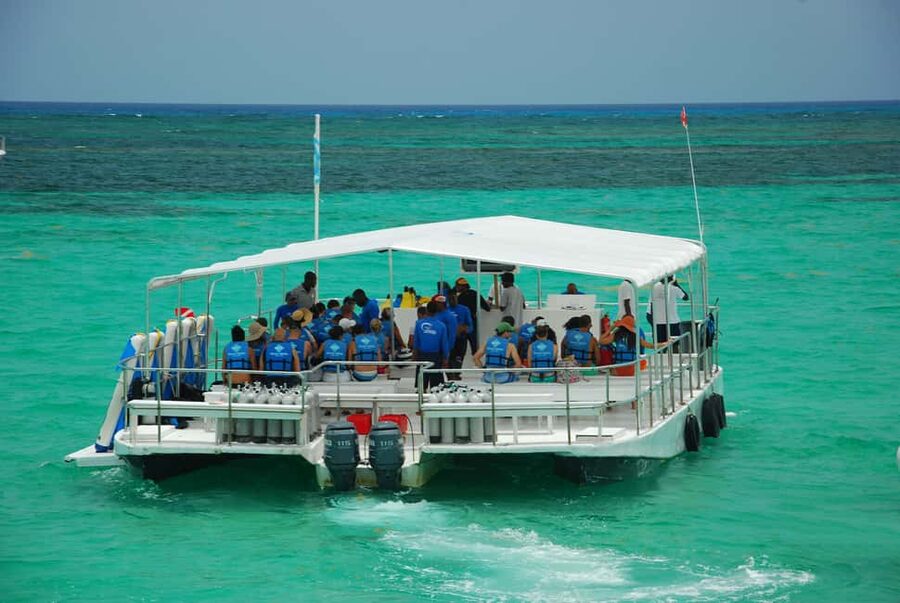 Sailing Splash Tour Speedboat, Snorkel, and Catamaran - Sharks, rays, and the limits of wildlife promises