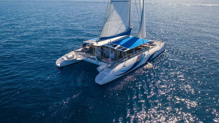 Sal Island Catamaran Cruise with All-inDrinks and Snacks - Snacks, drinks, and the mood on board