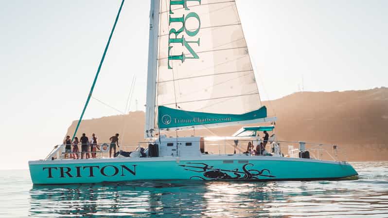 San Diego Harbor Cruise: 2.5 hour Catamaran Cruise - The Coronado Bridge from the water