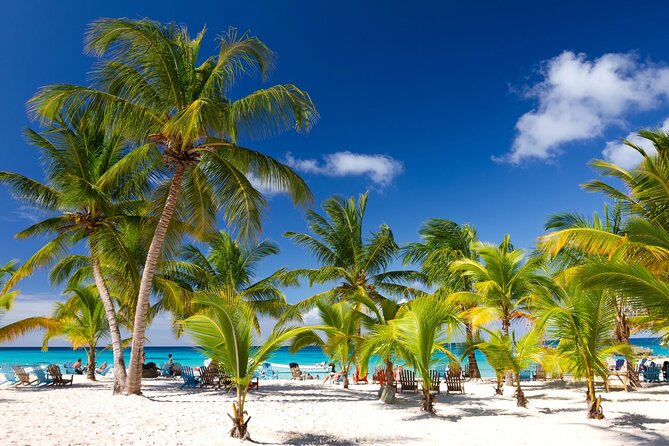 Saona Catamaran Cruise with Lunch and Natural Swimming Pool - Key points to know before booking