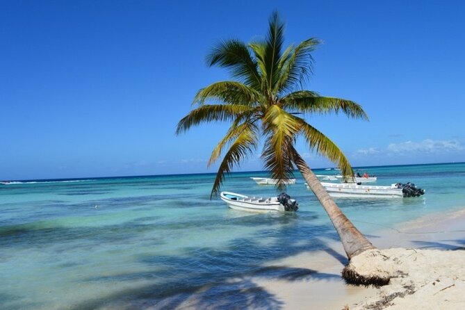 Saona Catamaran Cruise with Lunch and Natural Swimming Pool - Bayahibe gives the trip its local starting point