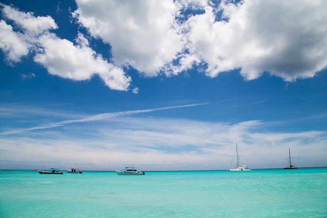 Saona Catamaran Cruise with Lunch and Natural Swimming Pool - Saona Island combines beauty with a rough edge