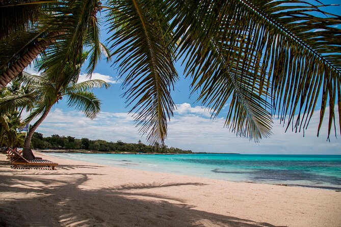 Saona Catamaran Cruise with Lunch and Natural Swimming Pool - The ride home is where expectations matter most
