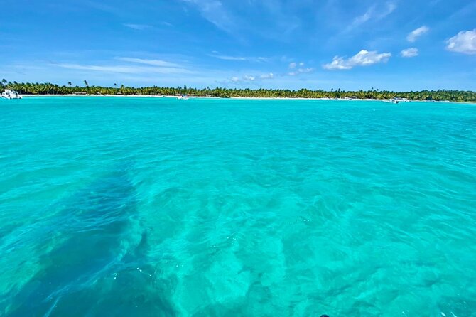 Saona Island Catamaran Cruise Experience (All Inclusive) - Who will enjoy this boat and beach day