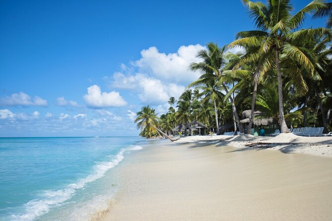 Saona Island Catamaran Cruise Experience (All Inclusive) - Booking and cancellation details that matter