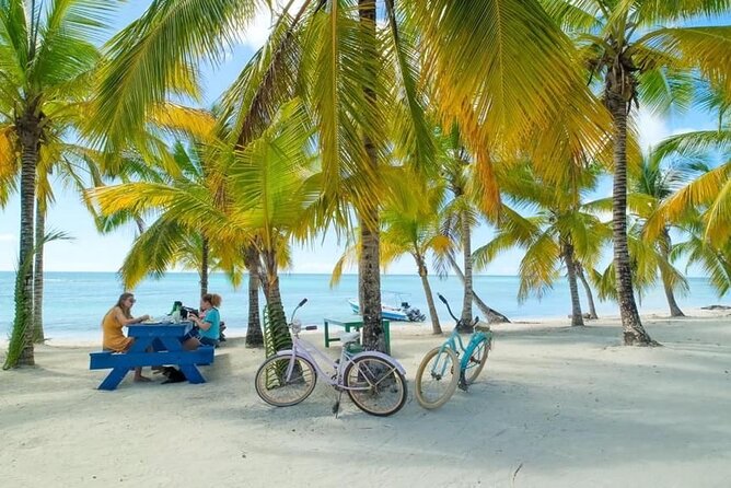 Saona Island Catamaran For Small Group Hotel Pick Food Drink - Communication is the biggest risk