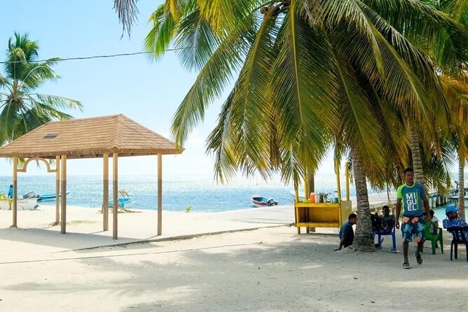 Saona Island Catamaran For Small Group Hotel Pick Food Drink - Who will enjoy this day most