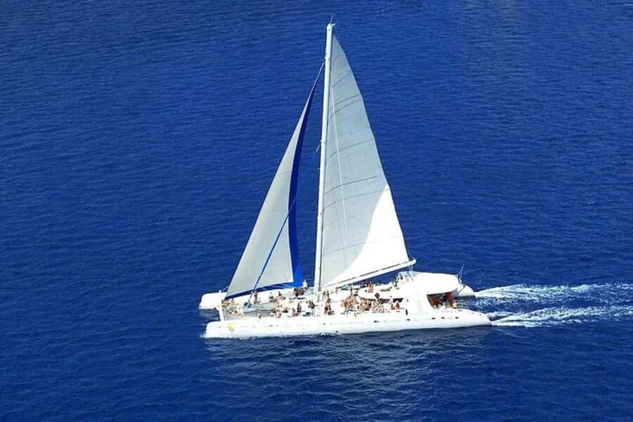 Saona Island: Catamaran/Speedboat Tour to a Dream Beach - From your hotel to Bayahibe port