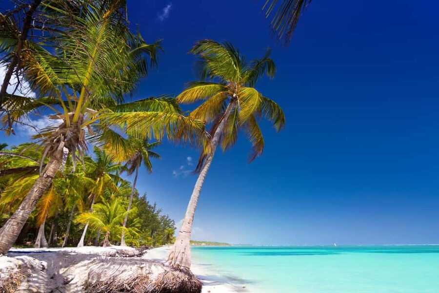 Saona Island: Catamaran/Speedboat Tour to a Dream Beach - Is $89 a good value?